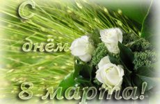Вітаємо всіх жінок зі святом 8 березня!