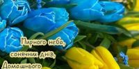 Вітаємо жінок зі святом весни!