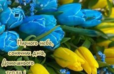 Вітаємо жінок зі святом весни!